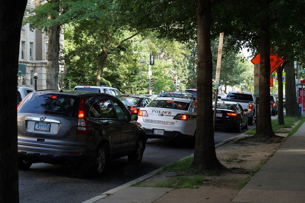 Des voitures de police stationnées le long d'une rue ombragée d'arbres.