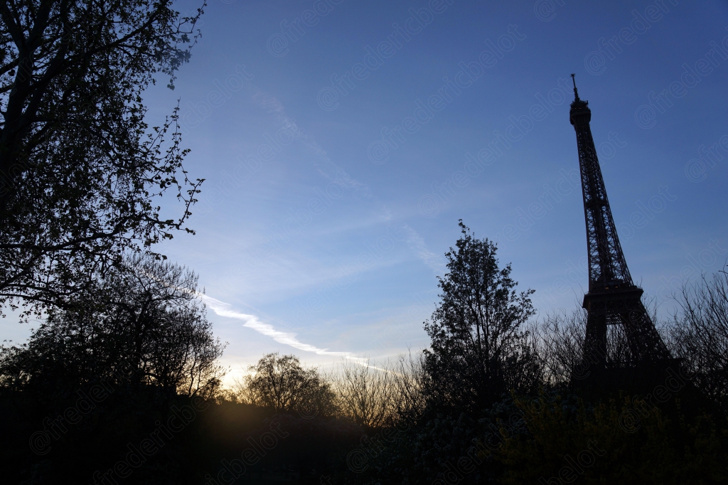 Silhouette de la tour Eiffel entre les arbres, dans la lumière bleutée du crépuscule.