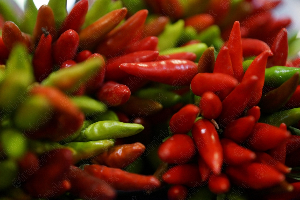 Des piments rouges et verts frais présentés en gros plan.