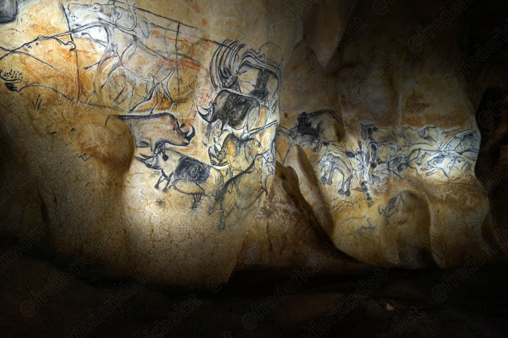 Une frise de bisons et de chevaux tracés au fusain sur la pierre.