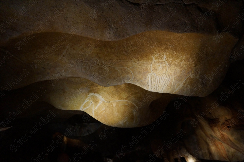 Une silhouette animale finement gravée se détache sur la paroi lisse de la grotte.