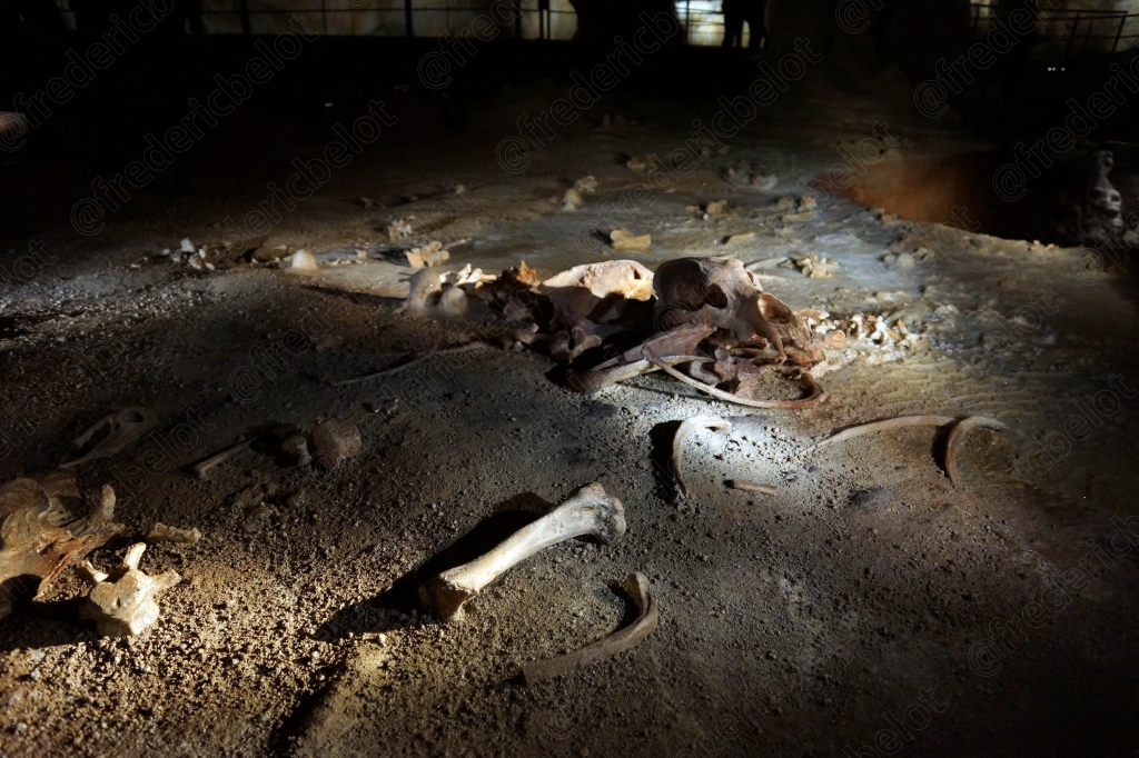 Des ossements anciens reposent à même le sol caillouteux de la grotte, sous un éclairage dirigé.