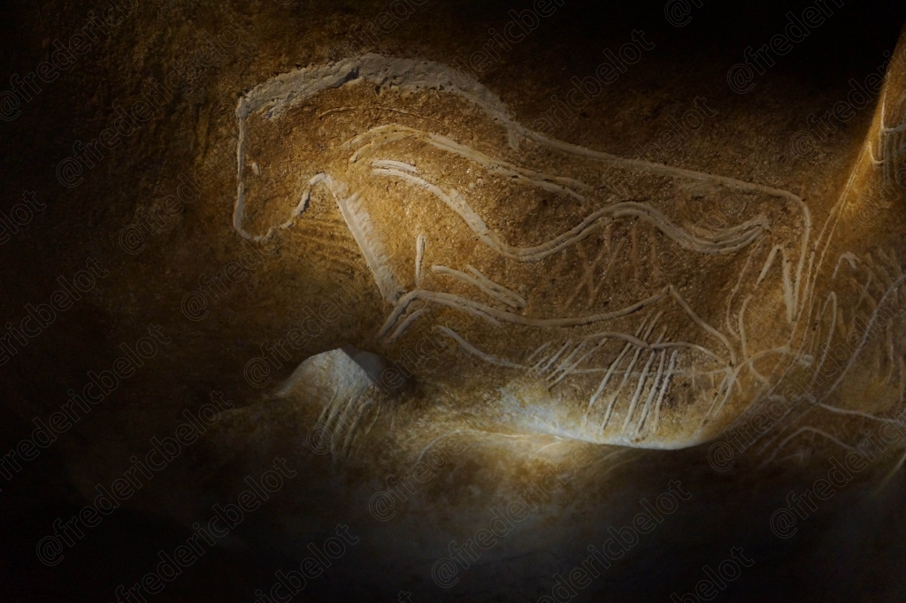Le dessin d'un bison se distingue nettement sur la roche claire, sous une lumière douce.