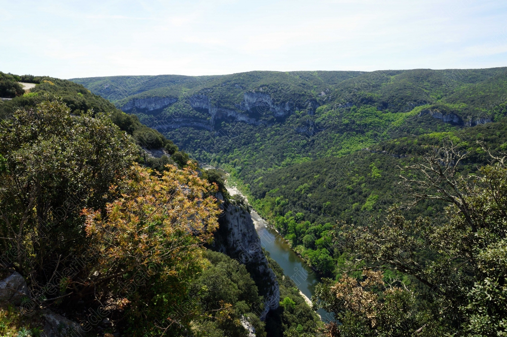 Vue panoramique sur les gorges de l'Ardèche couvertes de forêt, la rivière serpentant en contrebas.
