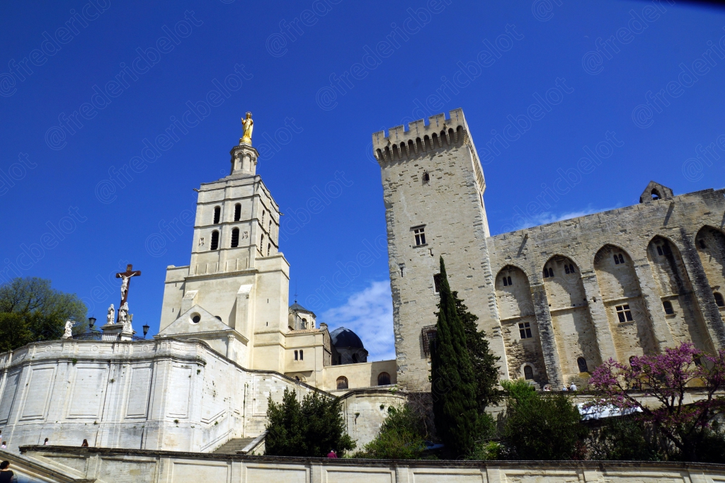Le Palais des Papes et son architecture austère, vus depuis les jardins.
