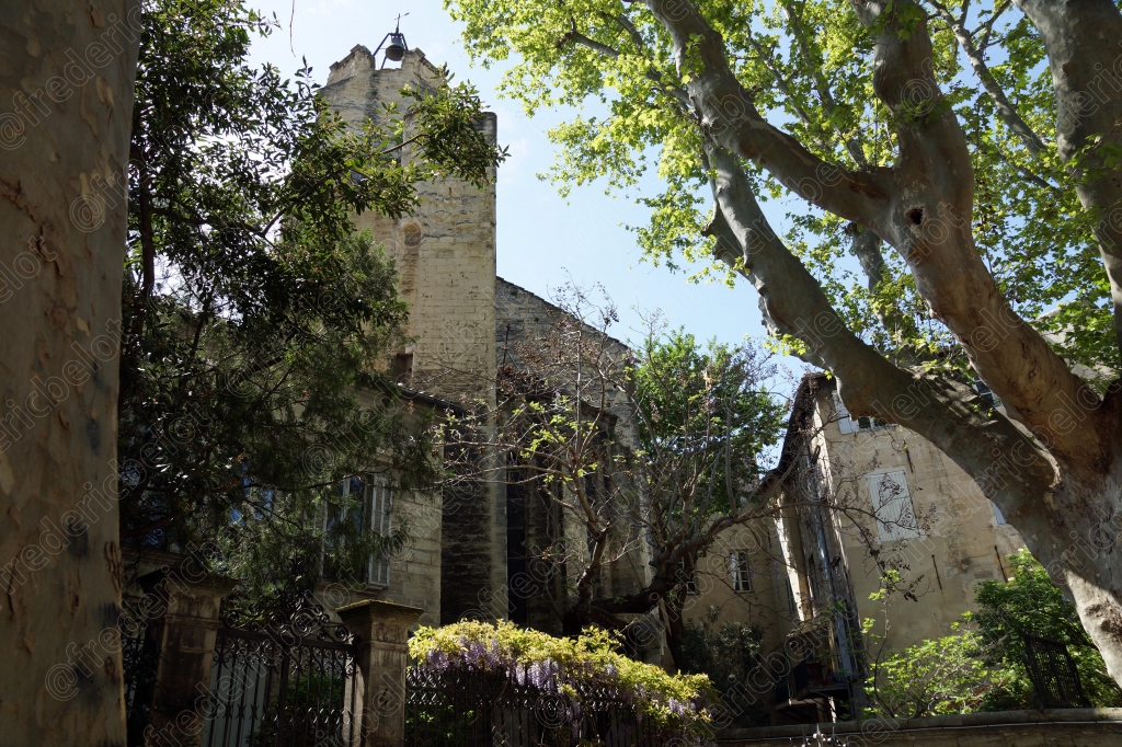 Une tour ancienne partiellement en ruine se dresse au milieu d'arbres en fleurs.