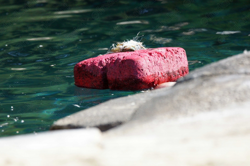 Une brique rose flotte à la surface d'une eau turquoise, près d'un quai de pierre.