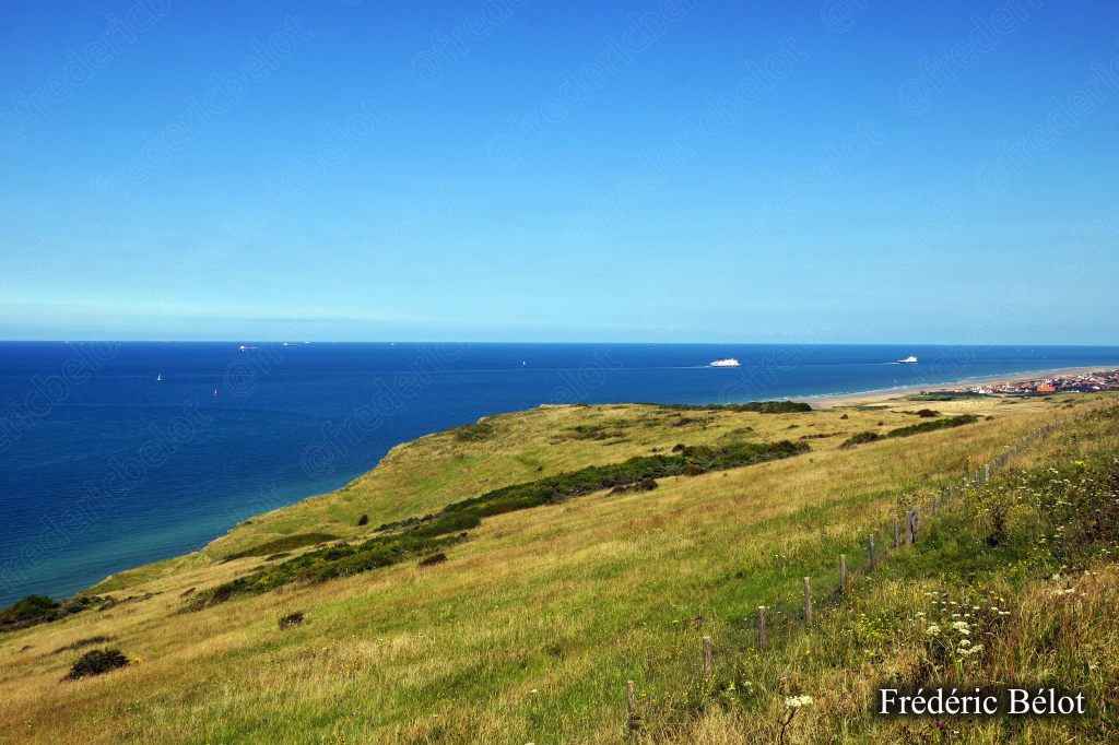 Un cargo au mouillage au large, vu depuis un pré côtier.