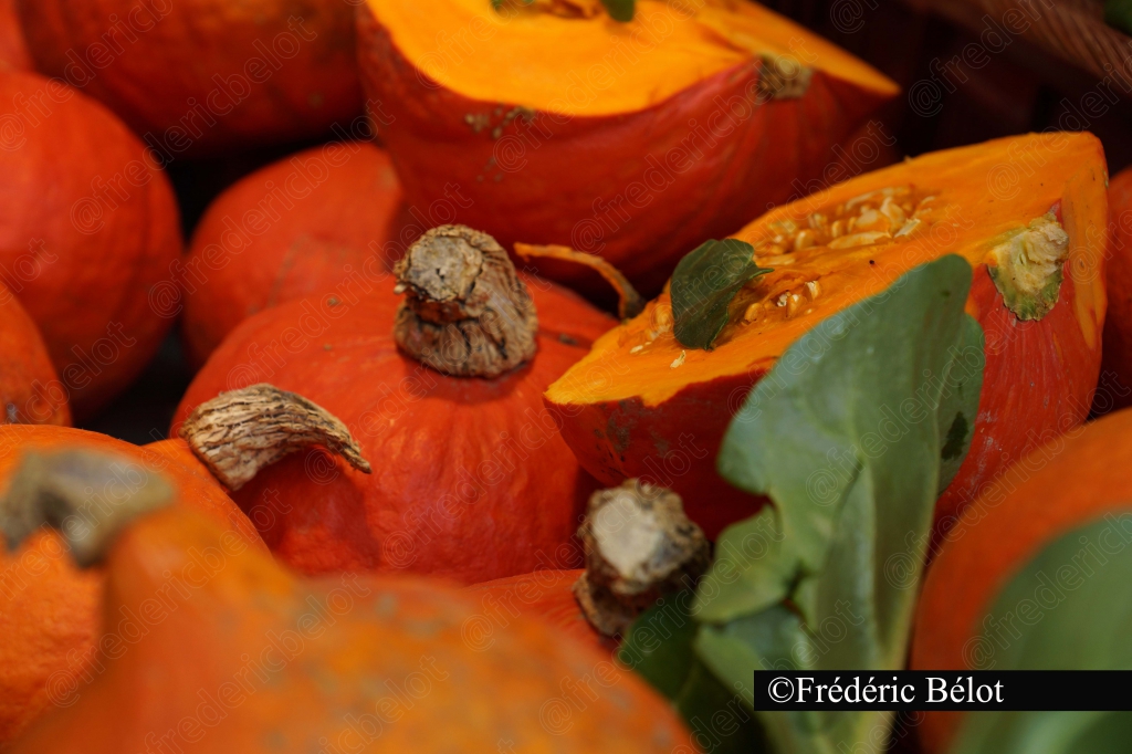 Des courges et potirons orange présentés sur un étal.