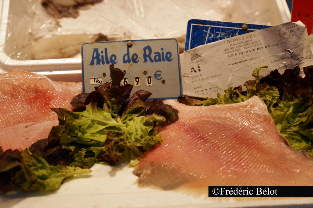 Une aile de raie fraîche présentée sur un lit de salade, étiquette de prix.