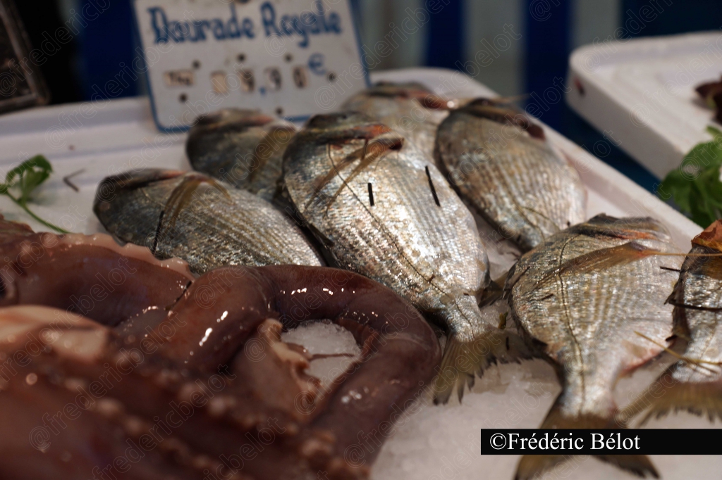 Des daurades royales fraîches présentées sur un étal, étiquette de prix.