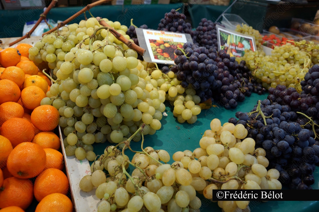Des clémentines et grappes de raisin blanc et noir sur un étal.