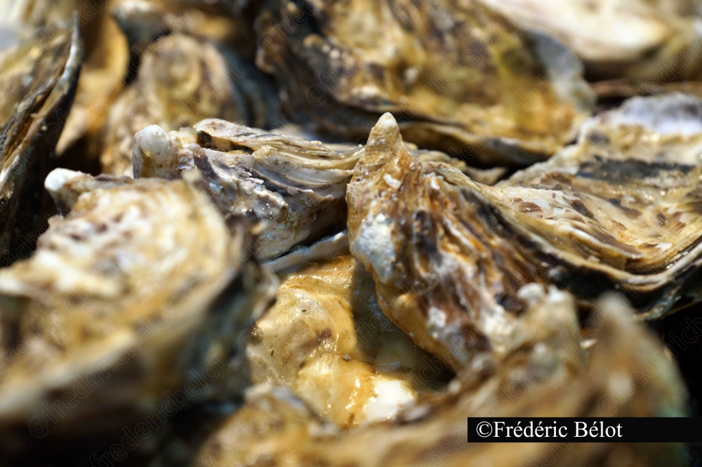 Des huîtres fraîches empilées, coquilles ouvertes visibles.