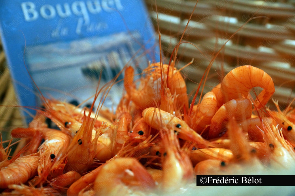 Des crevettes roses fraîches présentées à côté d'un magazine "Bouquet de Pêche".