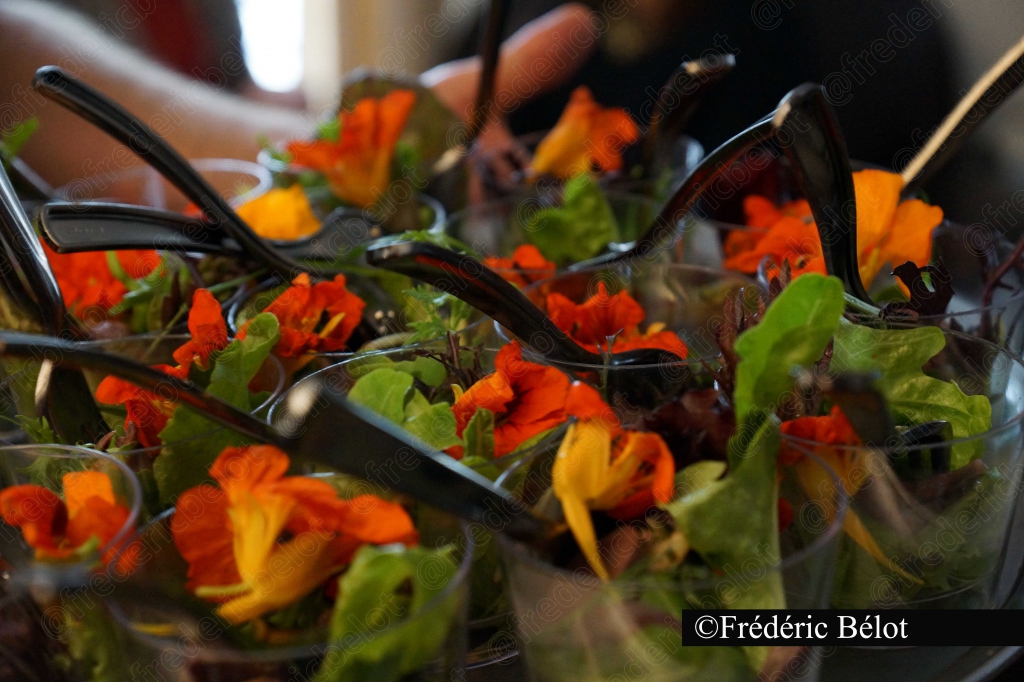 Des salades et fleurs comestibles orange disposées dans des verres.