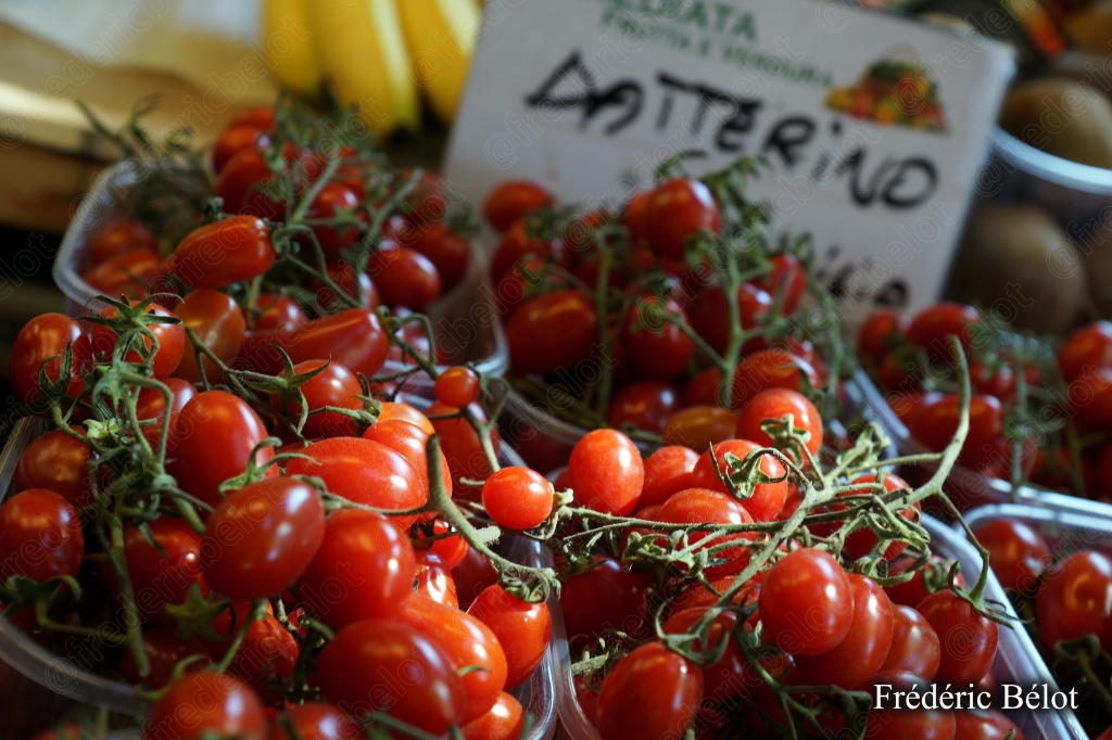 Des tomates cerises sur la vigne, étiquette "Datterino".