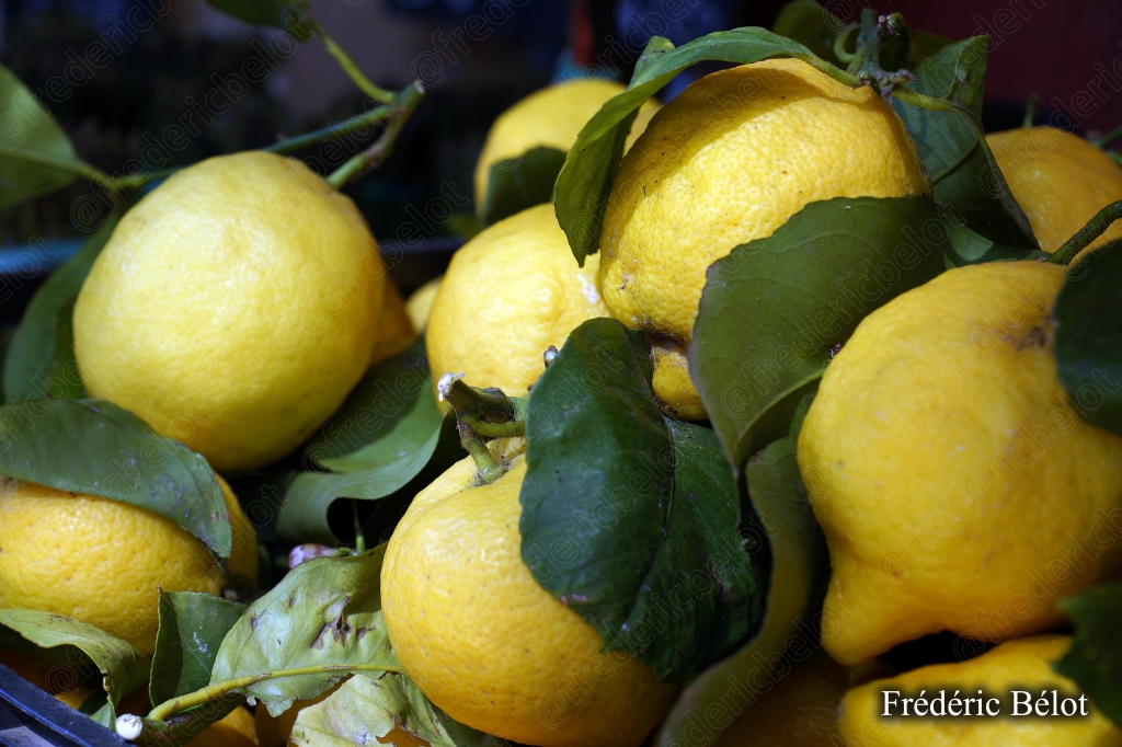 Des citrons frais avec leurs feuilles présentés en tas.