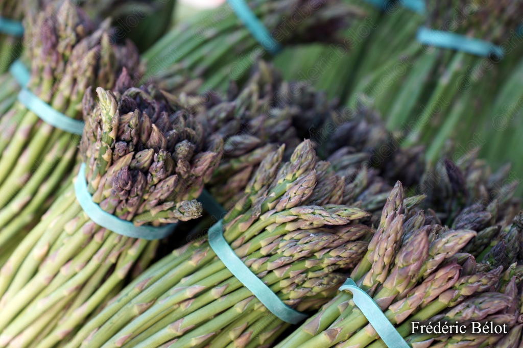 Des bottes d'asperges vertes attachées présentées sur un étal.