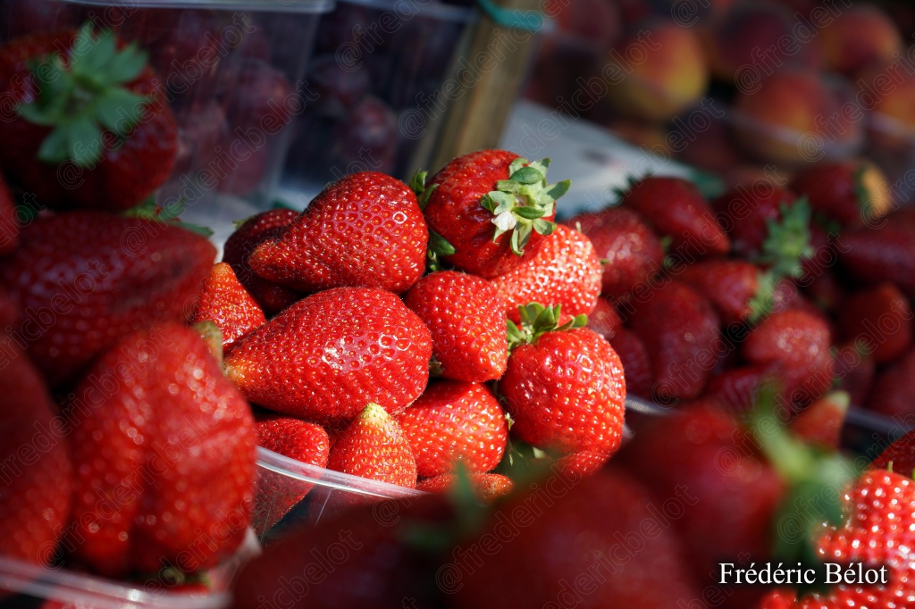Des fraises fraîches en barquettes rouges vif.