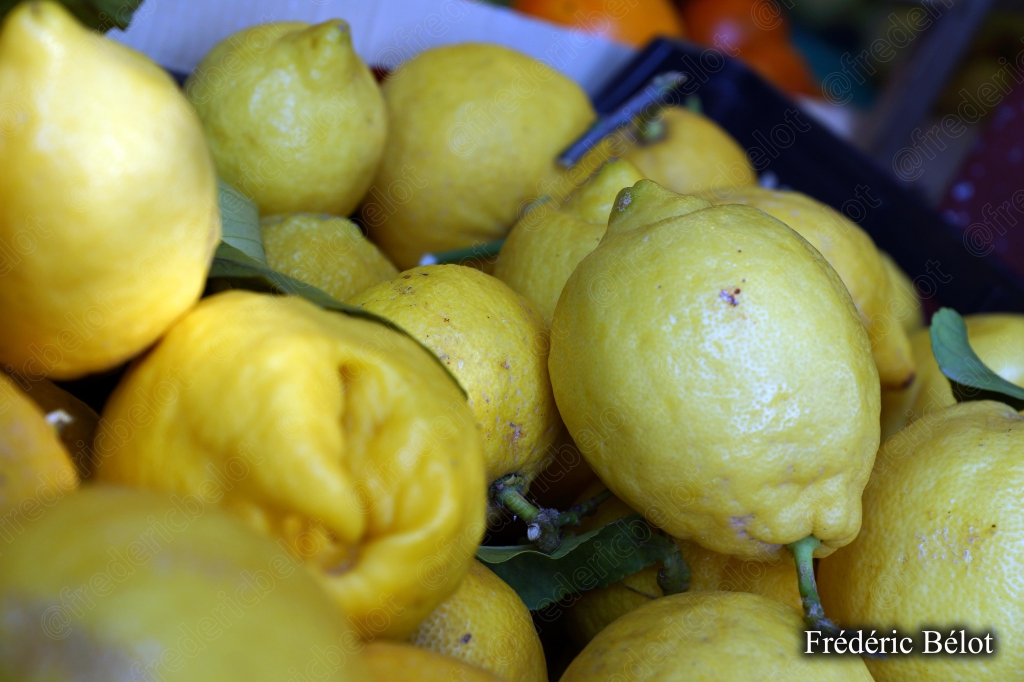 Des citrons jaunes et verts présentés en tas.