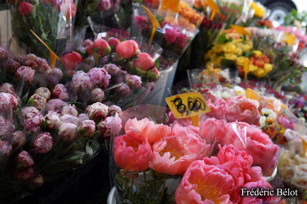 Un étal de fleurs coupées roses et jaunes, étiquette de prix.