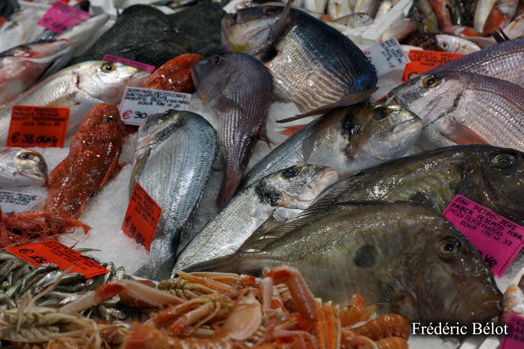Un étal de poissons frais variés sur glace, étiquettes de prix.