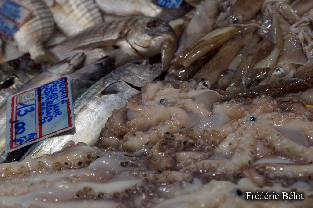 Des poissons et fruits de mer variés sur un étal, étiquette de prix.