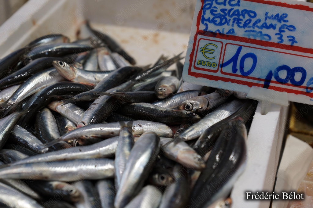 Des anchois ou petits poissons frais présentés en vrac, étiquette de prix.