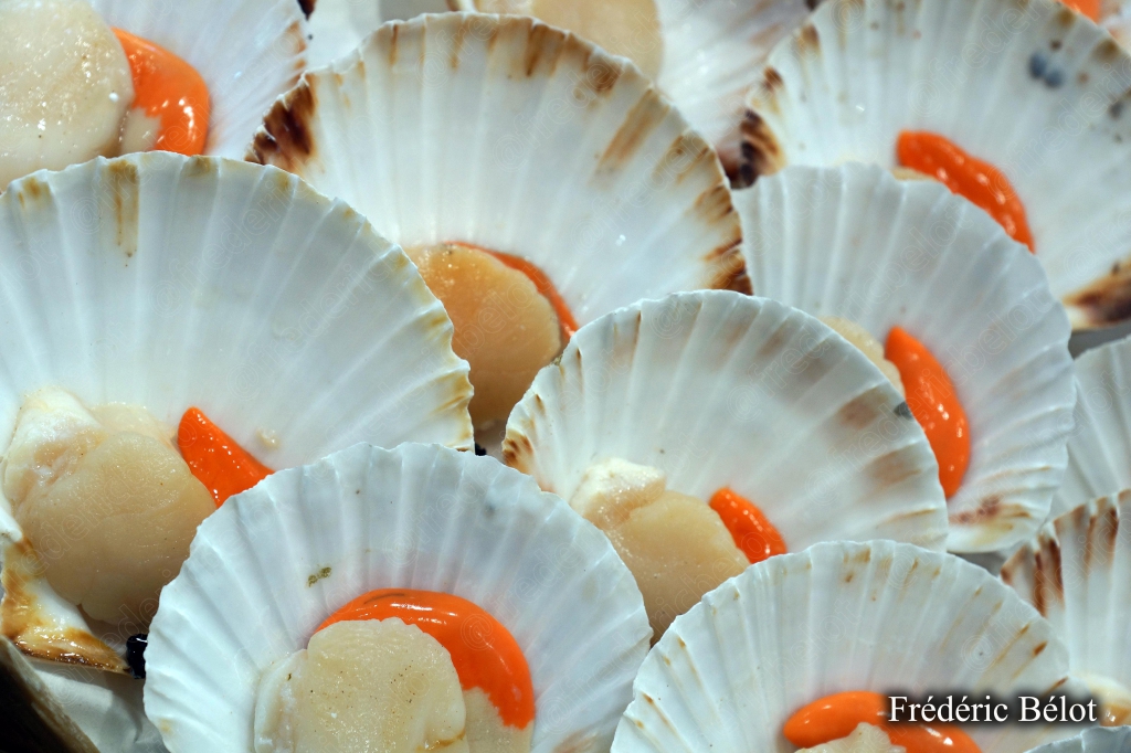 Des coquilles Saint-Jacques fraîches présentées ouvertes sur un étal.