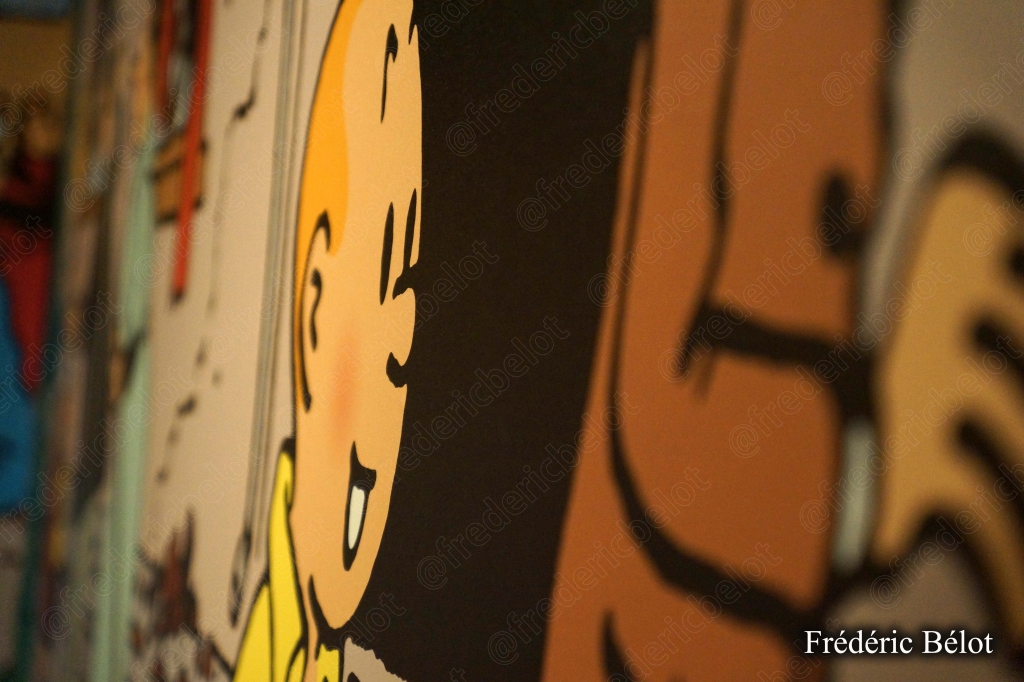 Des couvertures d'albums de Tintin traduites en plusieurs langues et alphabets, exposées en rangée.