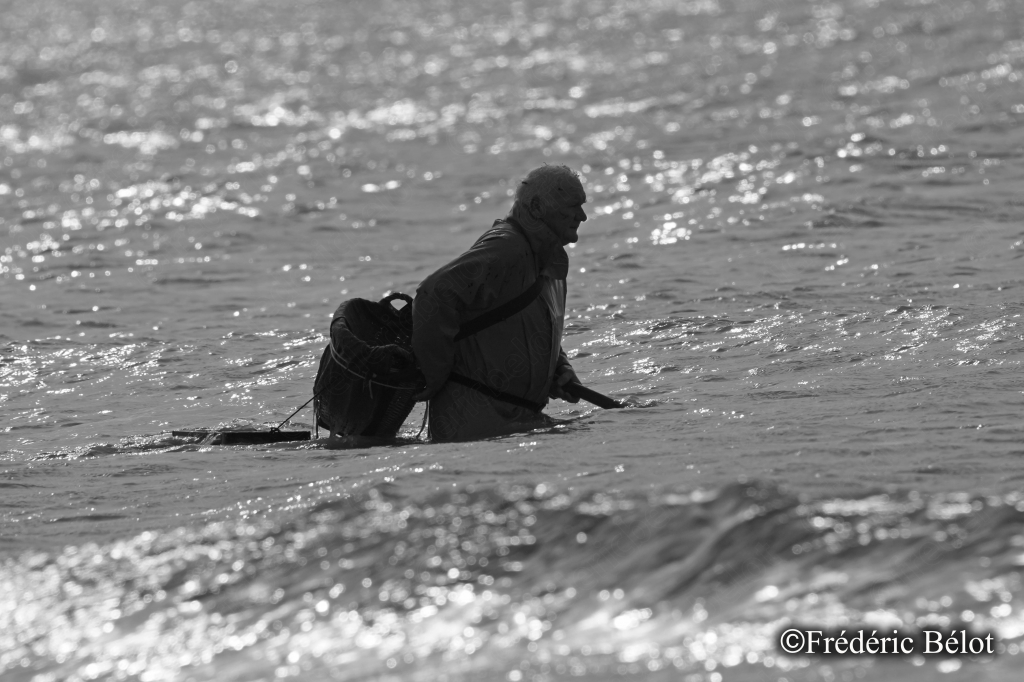 Le même pêcheur à pied de dos, silhouette sombre dans une mer scintillante de lumière.