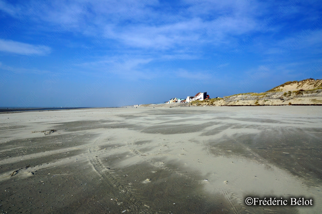Vue dégagée sur une plage déserte balayée par le vent, dunes au loin.