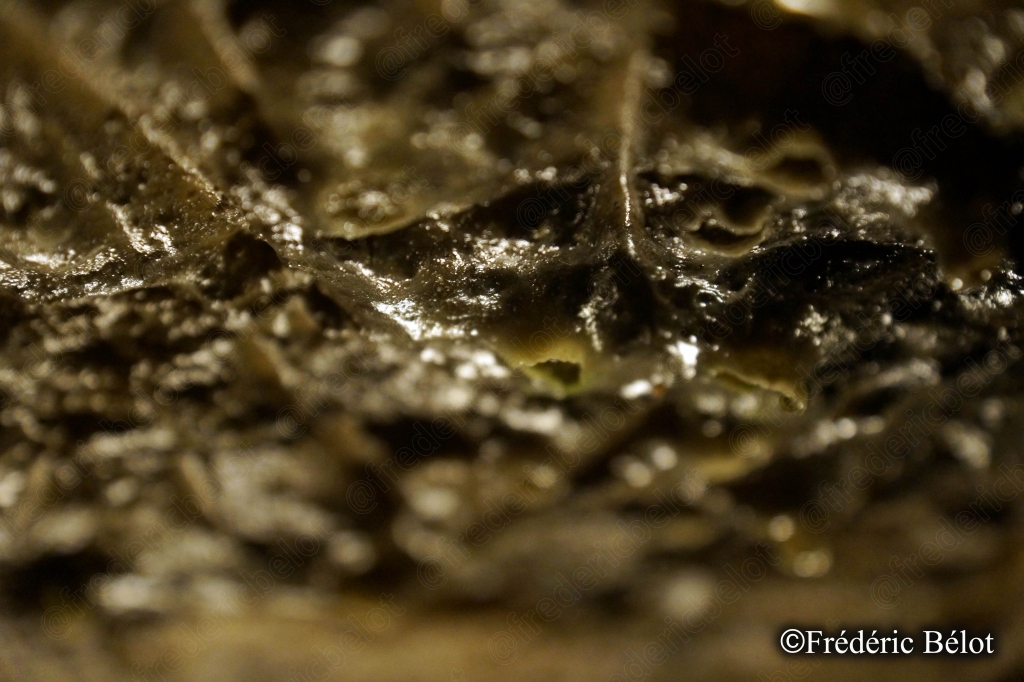 Gros plan sur une surface rocheuse humide et suintante.